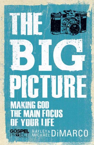 Big Picture, The