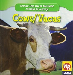 Cows / Las Vacas