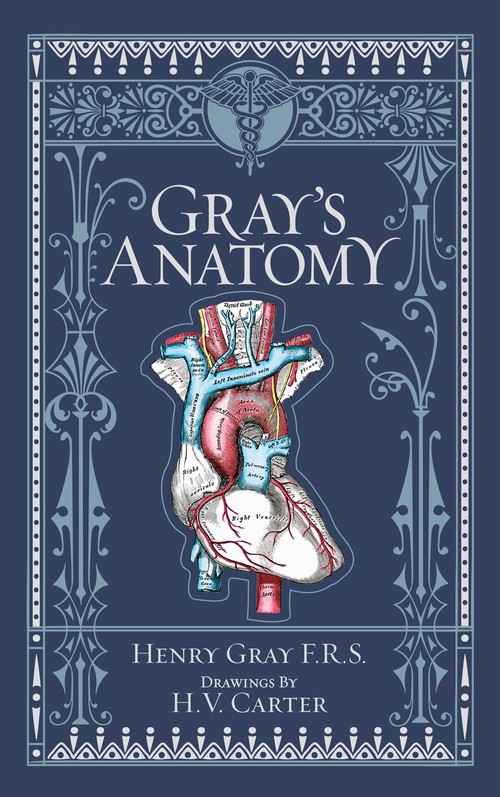 Gray's Anatomy (Barnes & Noble Coll