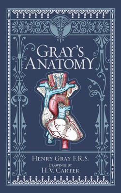 Gray's Anatomy (Barnes & Noble Coll