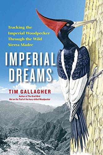 Imperial Dreams: Tracking the Imperial Woodpecker Through the Wild Sierr