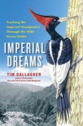 Imperial Dreams: Tracking the Imperial Woodpecker Through the Wild Sierr