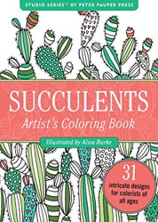 Color Bk Small Succulents