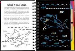 Scratch & Sketch(tm) Sharks (Trace Along)