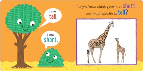 My First Opposites Board Book