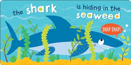 Who Is in the Ocean? Board Book