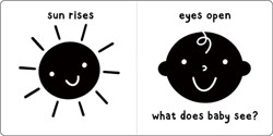 What Does Baby See? a High-Contrast Board Book