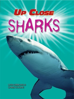 Sharks