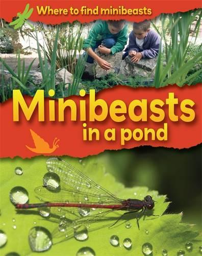 Minibeasts in a Pond