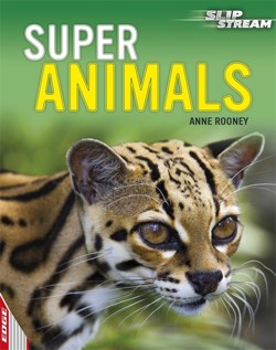 EDGE: Slipstream Non-Fiction Level 1: Super Animals