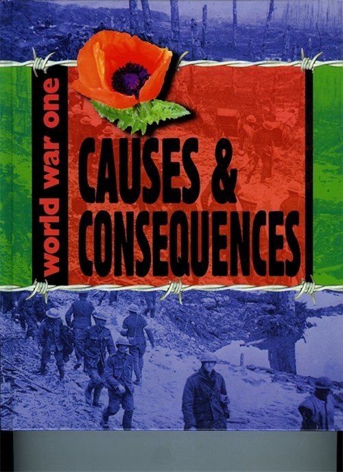Causes and Consequences