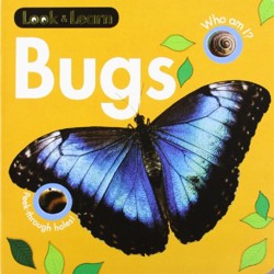 Bugs Board Book