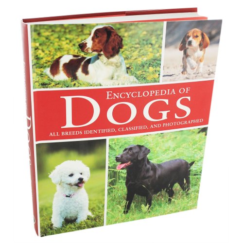 Dogs