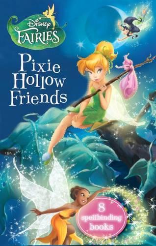 Disney Fairies Chapter Book Slipcase Collection