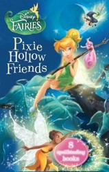 Disney Fairies Chapter Book Slipcase Collection