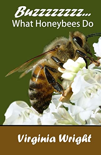 Buzzzzzzzz...