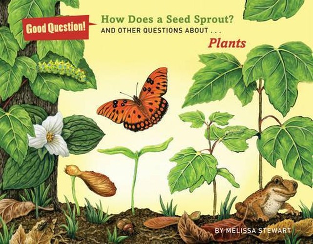 How Does A Seed Sprout Plants