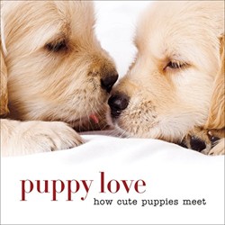Puppy Love