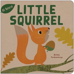 Little Squirrel