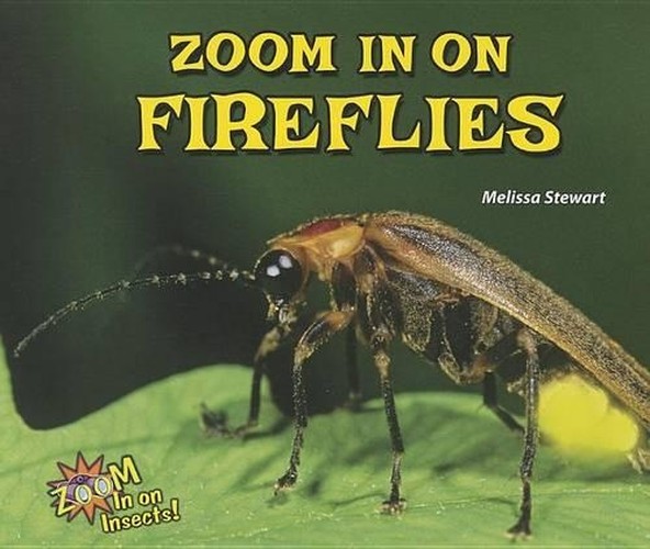 Zoom in on Fireflies