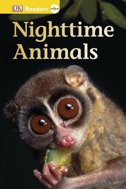 Nighttime Animals