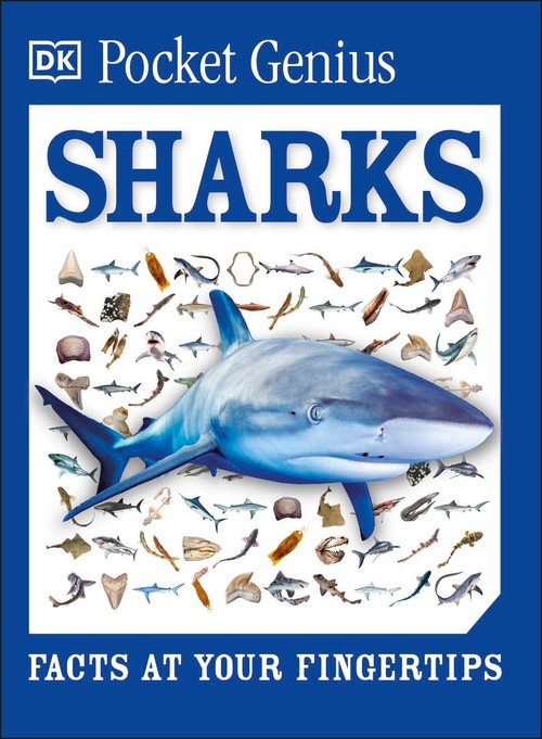 Pocket Genius Sharks