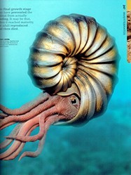 Dinosaur ? The Definitive Visual Guide to Prehistoric Animals