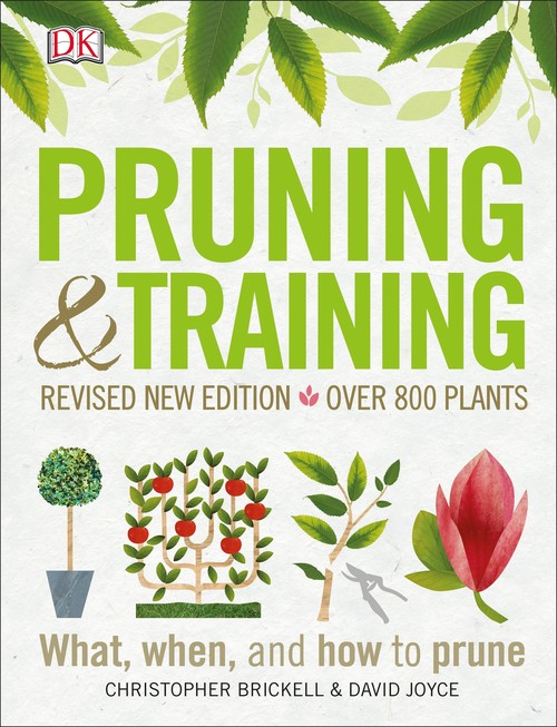 Pruning and Training, Revised New Edition