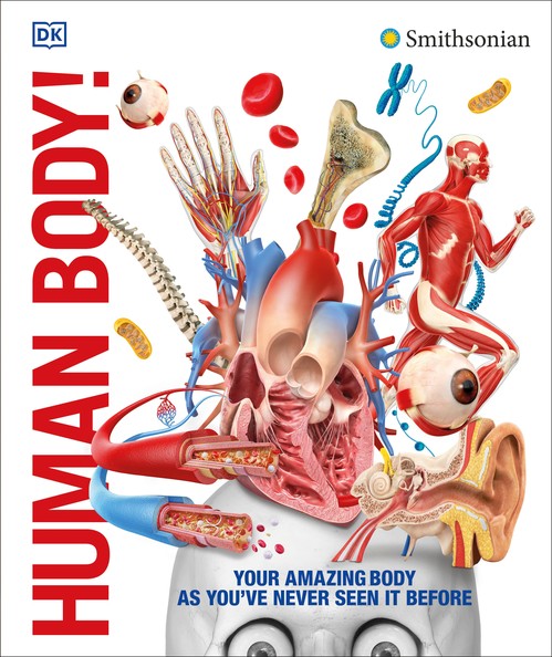 Dk - Knowledge Encyclopedia Human Body!: Human Anatomy as You've Never Seen It Before