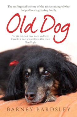 Old Dog