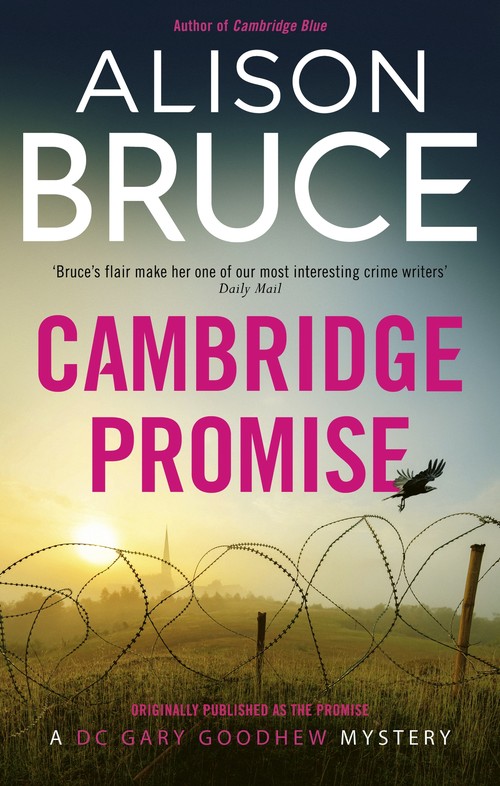 The Cambridge Promise