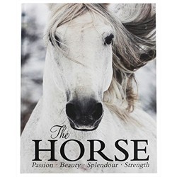 The Horse