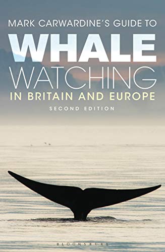 Mark Carwardine's Guide To Whale Watching In Britain And Europe