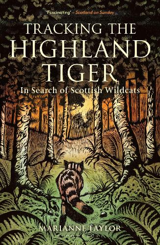 Tracking The Highland Tiger