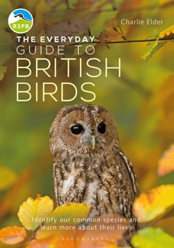 The Everyday Guide to British Birds