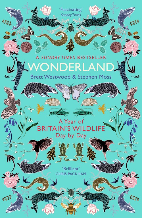 Wonderland