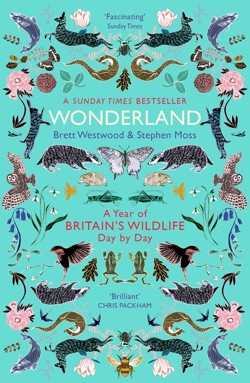 Wonderland