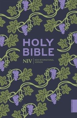 NIV Holy Bible