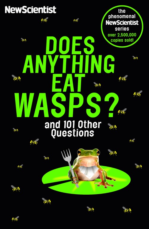 Does Anything Eat Wasps