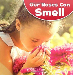 Our Noses Can Smell