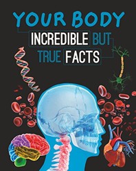 Your Body
