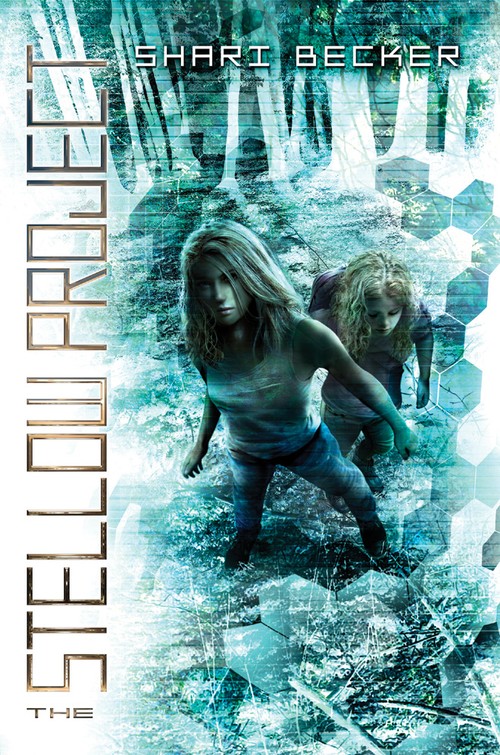The Stellow Project