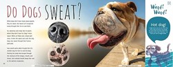 Woof! the Truth about Dogs