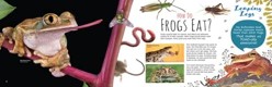 Ribbit! the Truth about Frogs