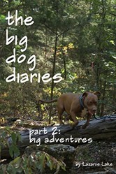 Big Adventures
