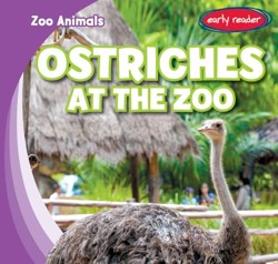 Ostriches at the Zoo
