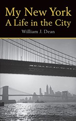My New York A Life in the City