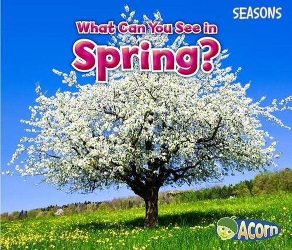 Seasons What Can You See in Spring?