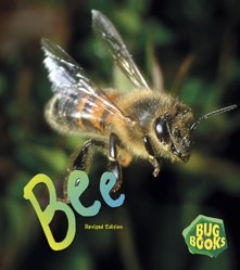 Bug Books Bee