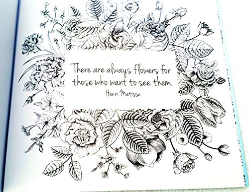 My Heart is Like a Singing Bird:Inspiring Quote to Color(US)